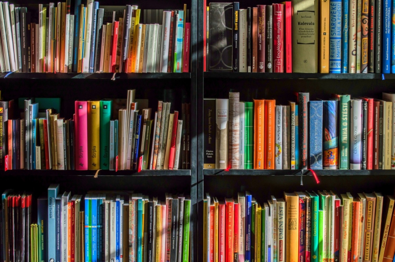 vente-BONSON-min_books_bookstore_book_reading_shop_writer_sale_books_read-822866